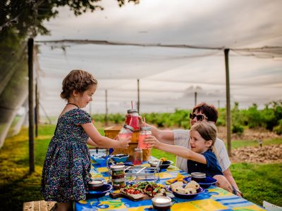 Berrylicious Fruit Farm